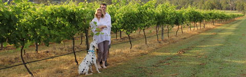 Greenway Wines - Hotel WA 1