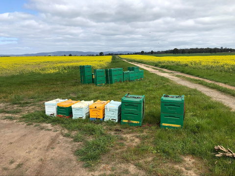 The Basin Backyard - Hotel WA 0