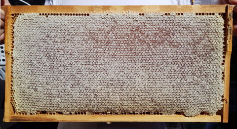 The Basin Backyard - Hotel WA 1