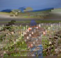Kurtz Family Vineyards - Hotel WA