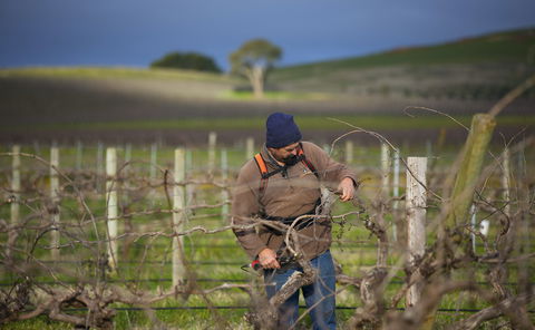 Kurtz Family Vineyards - Hotel WA 0