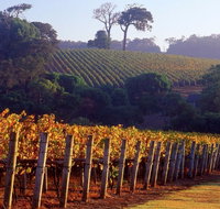 Maiolo Wines and Vineyard - Hotel WA
