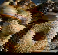 Criterion Tavern - Hotel WA