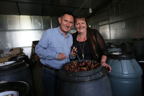 Gooramadda Olives - Hotel WA 2