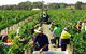 Grosset Wines - thumb 1