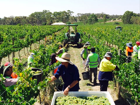 Grosset Wines - Hotel WA 1