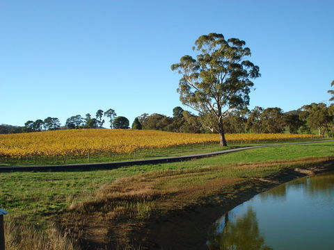 Malcolm Creek Vineyard - Hotel WA 1