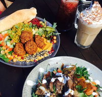 Rainforest Cafe Restaurant
