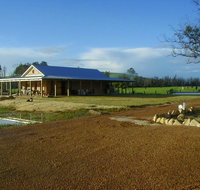 Thomson Brook Wines