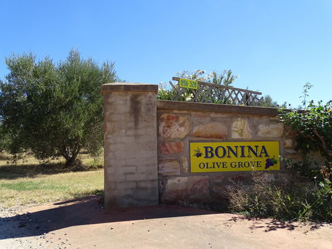 Bonina Olive Grove - Hotel WA 1