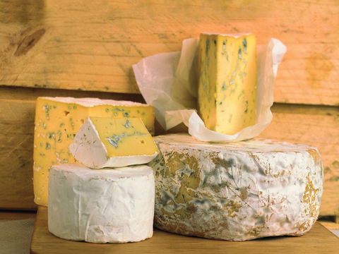 Cheese Shop At Makers' Workshop Burnie - The - Hotel WA 1