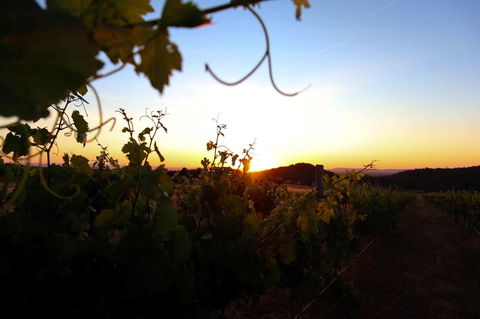 Glenbosch Wine Estate - Hotel WA 0