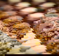 Challys Bar and Bistro