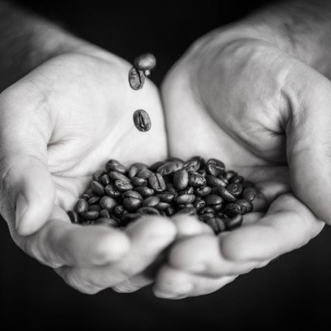 The Caffeine Project - Hotel WA 0