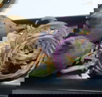 Dark Horse - Hotel WA