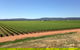 Melange Wines - thumb 0