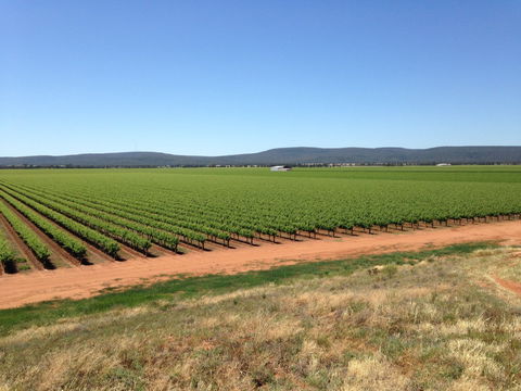 Melange Wines - Hotel WA 0