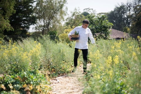 The Wild Flower Bar And Dining - Hotel WA 2