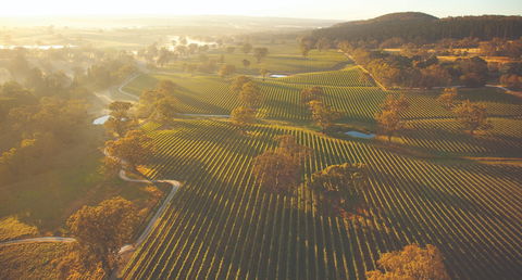 Grant Burge Wines - Hotel WA 1