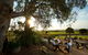 Grant Burge Wines - thumb 2