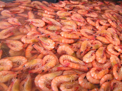 Grunske's By The River Seafood Market And Restaurant - Hotel WA 0