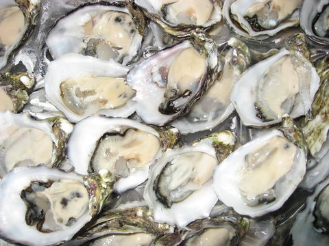 Grunske's By The River Seafood Market And Restaurant - Hotel WA 1
