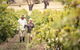Lambert Estate Wines - thumb 2