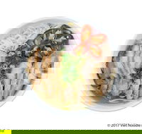 Viet Noodle  Grill - Hotel WA