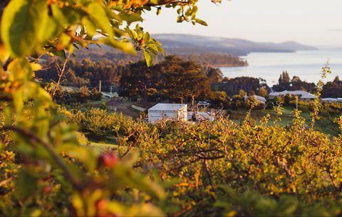 The Woodbridge Smokehouse - Hotel WA 0