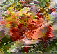 Thurlby Herb Farm Cafe