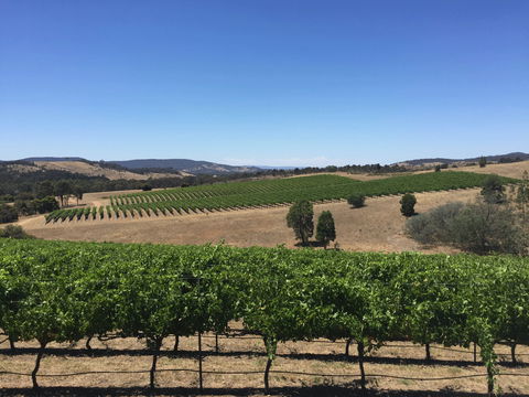 Peerick Vineyard And Winery - Hotel WA 0