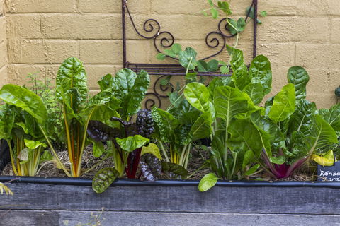 A Bite To Eat - Hotel WA 1