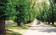 All Saints Estate - thumb 1