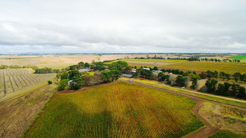 Pettavel Wines - Hotel WA 0