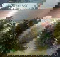 Fork n Knife My Little Deli - Hotel WA