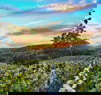 Between the Vines Cellar Door - Hotel WA