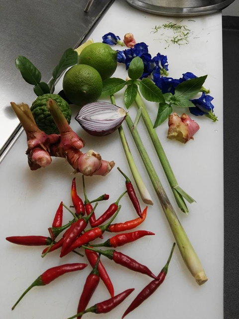 Thai Sensation - Hotel WA 0