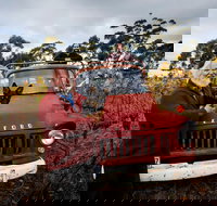 The Shiraz Republic - Hotel WA