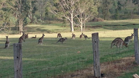 Mistletoe Winery - Hotel WA 1