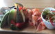 Warf Restaurant - thumb 0