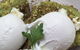 Pepper Cafe - thumb 1
