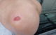 Bruno's Bne - thumb 3