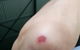 Bruno's Bne - thumb 4