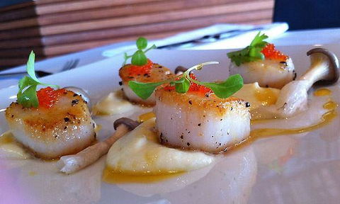 Tea Gardens Boatshed - Hotel WA 2