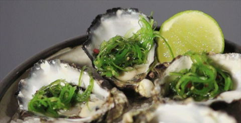 Seasons Of Kurrajong - Hotel WA 3