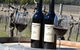 Mount Broke Wines Restaurant - thumb 5