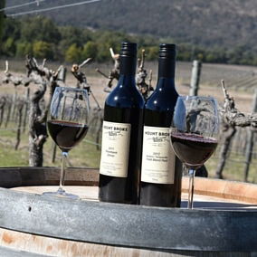 Mount Broke Wines Restaurant - Hotel WA 5
