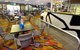 Hervey Bay RSL - thumb 4