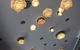 Coffee Journey - thumb 5