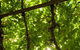 Vintner's Bar And Grill - thumb 1